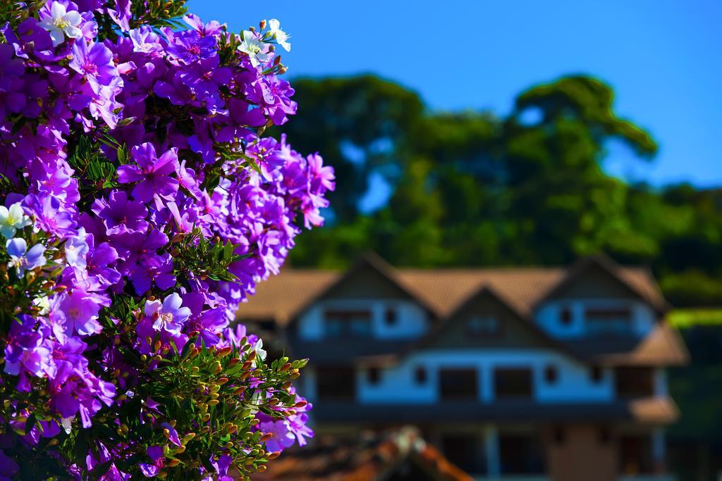 Hotel Pousada Dos Pinhos Pedra Azul  Esterno foto